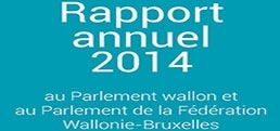 Rapport annuel 2014