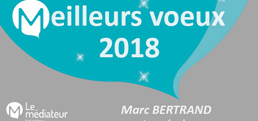 Bonne année 2018