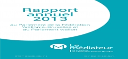 Rapport annuel 2013