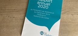 Rapport annuel 2020