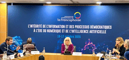 2e réflexion transversale des Réseaux institutionnels de la Francophonie